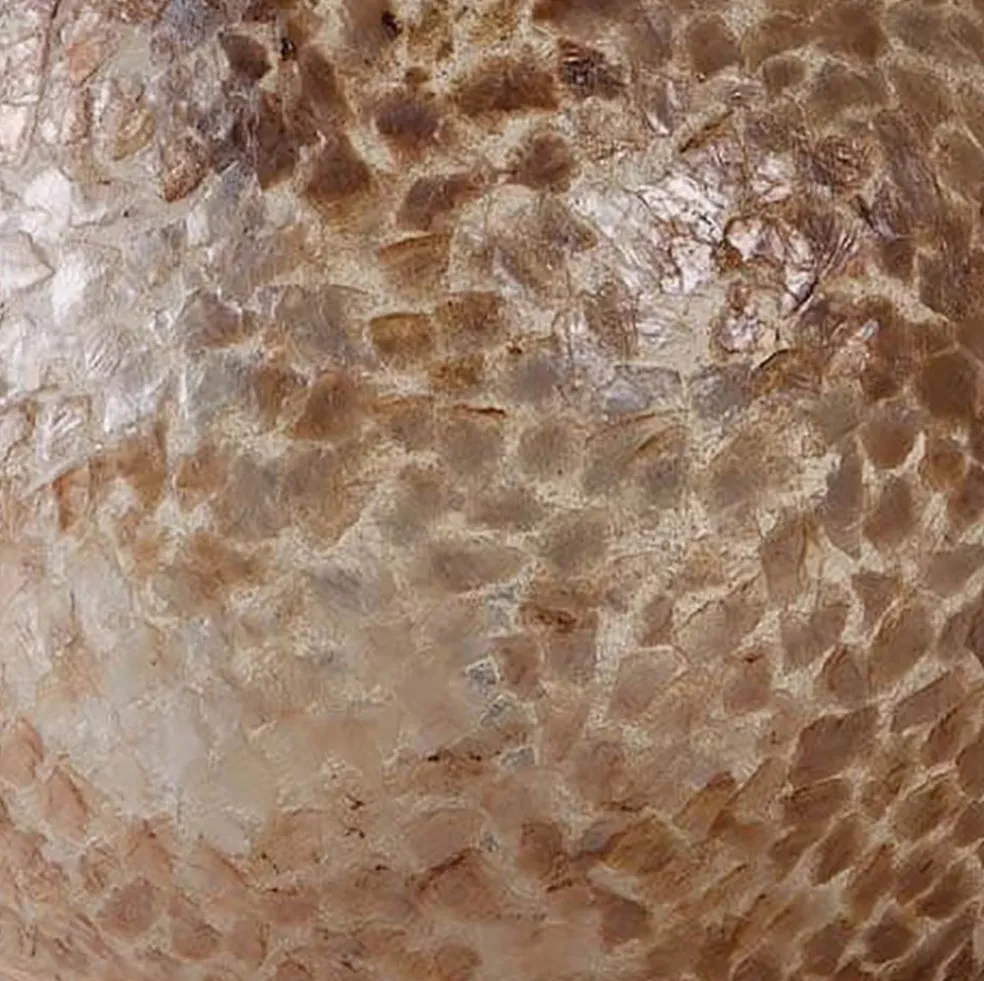 Beach tafellamp schelpen bol woonkamer