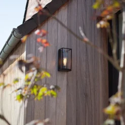 Buitenlantaarn rechthoek zwart/helder glas  IP44