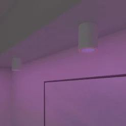 Calex Smart Halo plafondspot wit