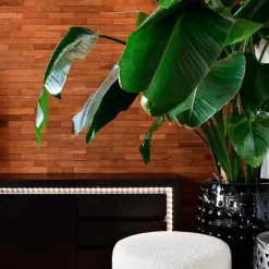 Calex Smart LED strip RGB + CCT 2 meter