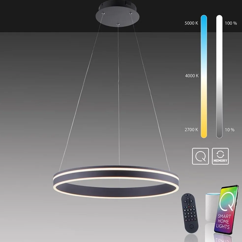 Hanglamp zwart ring 60cm + afst.bed.CCT