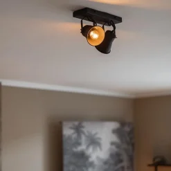 Industriële 2-lichts plafondspot mat zwart