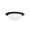 Kleine LED plafondlamp zwart met wit glas IP44