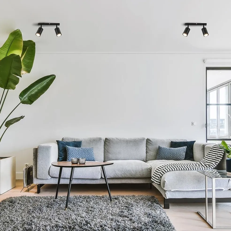 2-Lichts opbouwspot GU10 mat zwart