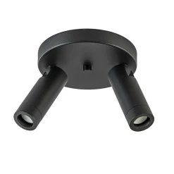 2-Lichts plafondspot mat zwart met gouden accent