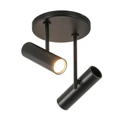 2-Lichts ronde opbouwspot met cilinders zwart