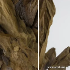 Light & Living lampvoet hout + zwart