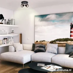 Moderne plafondspot mat zwart 2-lichts