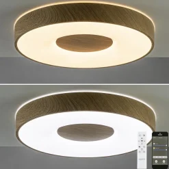 Plafondlamp Coin 50 hout + remote CCT