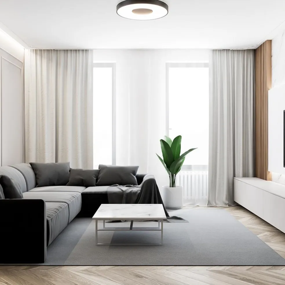 Plafondlamp Coin 65 zwart + remote