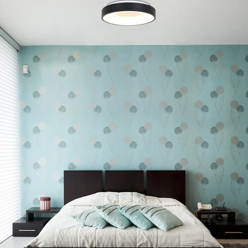 Plafondlamp Ringlede zwart