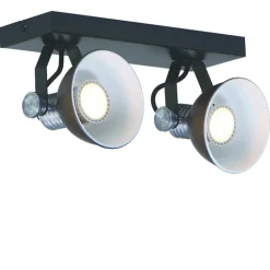 Plafondspot Brooklyn 2l zwart industrieel