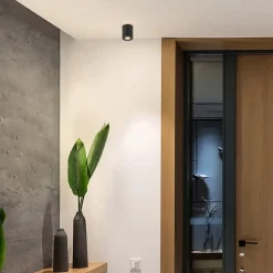 Plafondspot cilinder zwart verstelbaar gu10