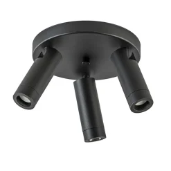 Plafondspot 3-lichts mat zwart/goud verstelbaar