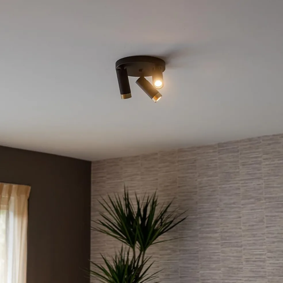 Plafondspot 3-lichts mat zwart/goud verstelbaar