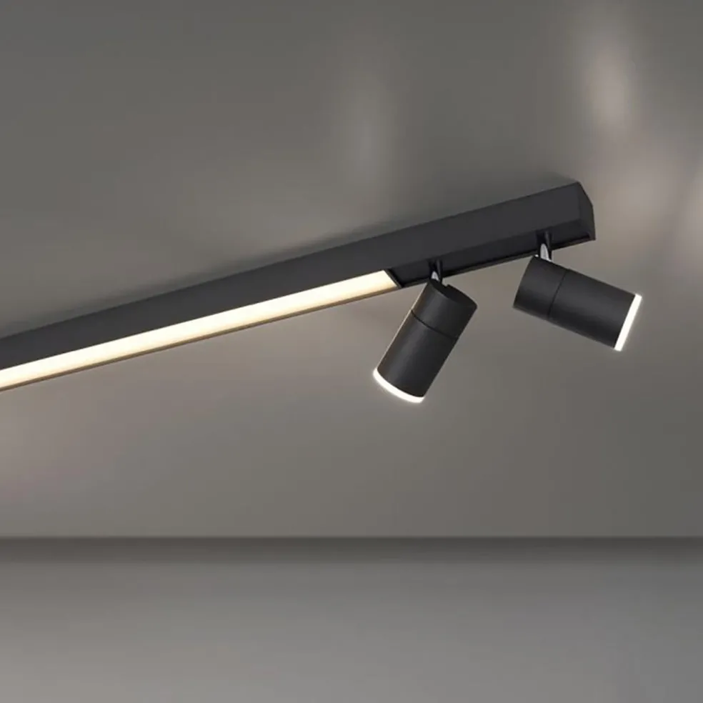 Plafondspot Pure Lines antraciet smart