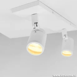 Plafondspot Rain 2L wit gu10 IP44