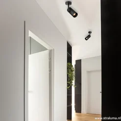 Plafondspot tube zwart verstelbaaar