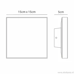 Plafond/wandlamp square antraciet