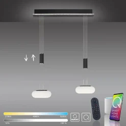 Smart hanglamp 2-lichts mat zwart met opaal glas dimbaar