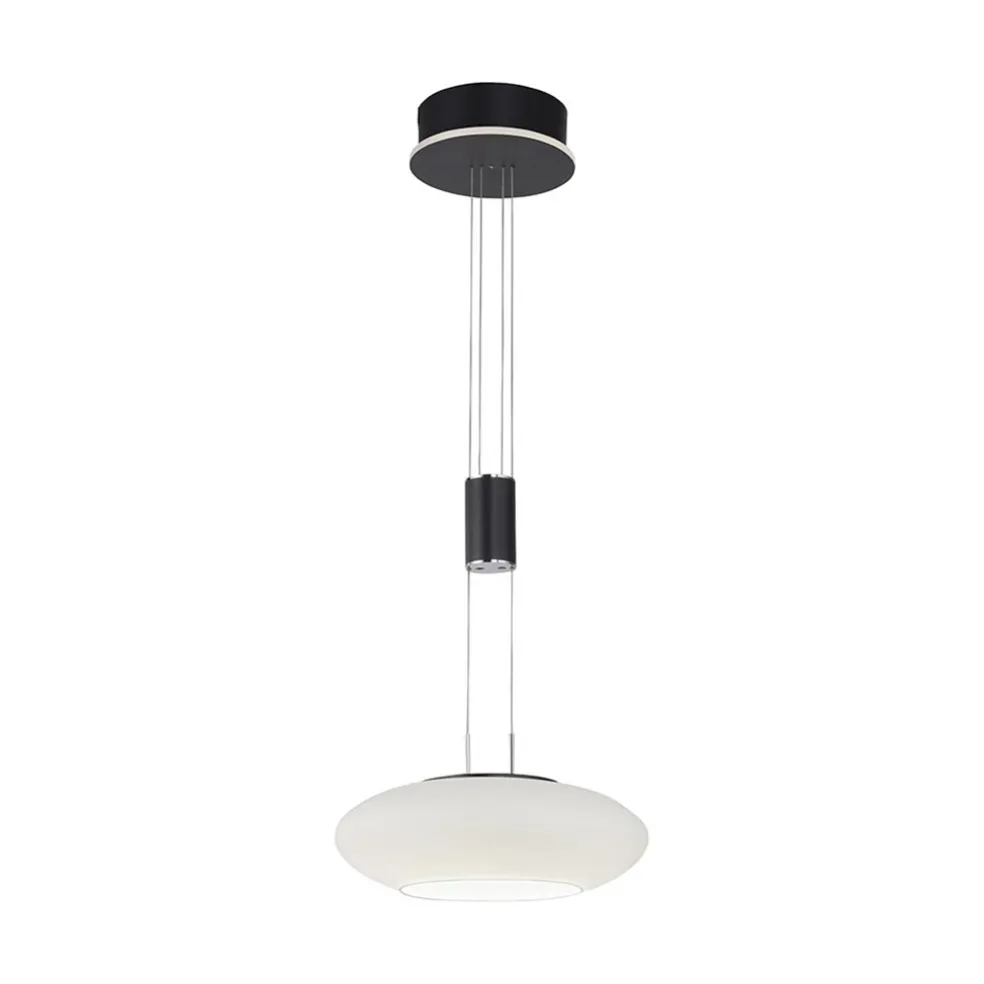 Smart hanglamp mat zwart met opaal glazen kap