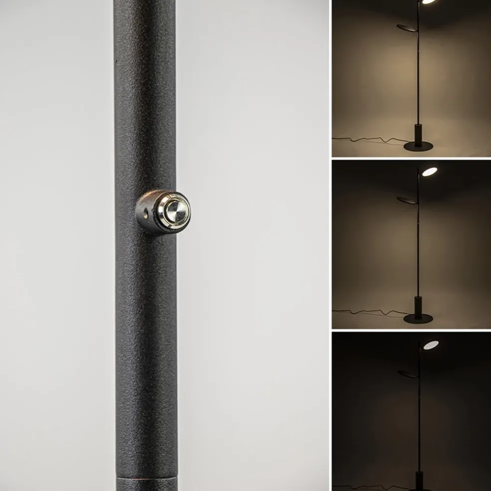 Vloerlamp 2-lichts zwart inclusief 3-standen dimbaar LED