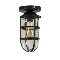 Zwarte Kooi- plafondlamp met glas