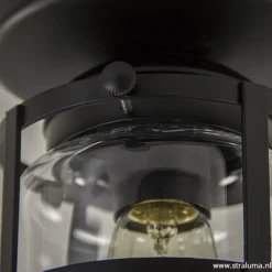 Zwarte Kooi- plafondlamp met glas