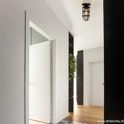 Zwarte Kooi- plafondlamp met glas